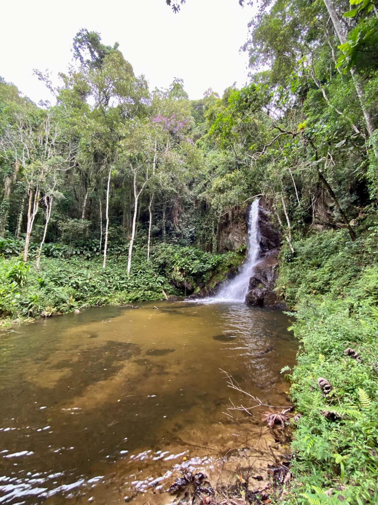 Chales Fazenda Floresta Das Araucarias クーニャ エクステリア 写真
