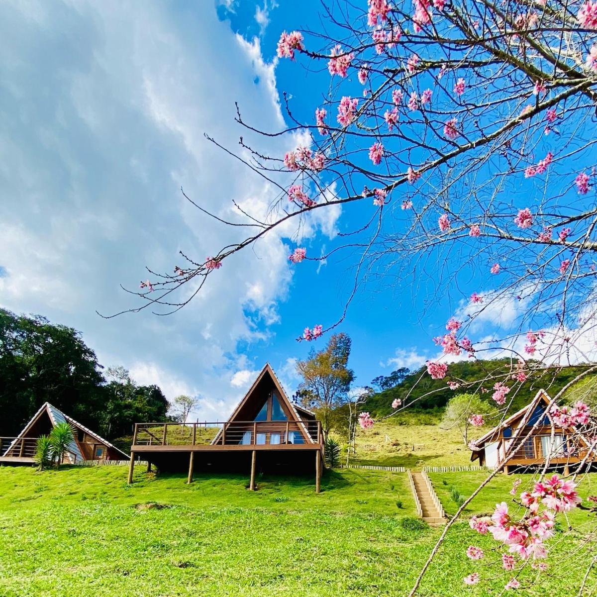Chales Fazenda Floresta Das Araucarias クーニャ エクステリア 写真